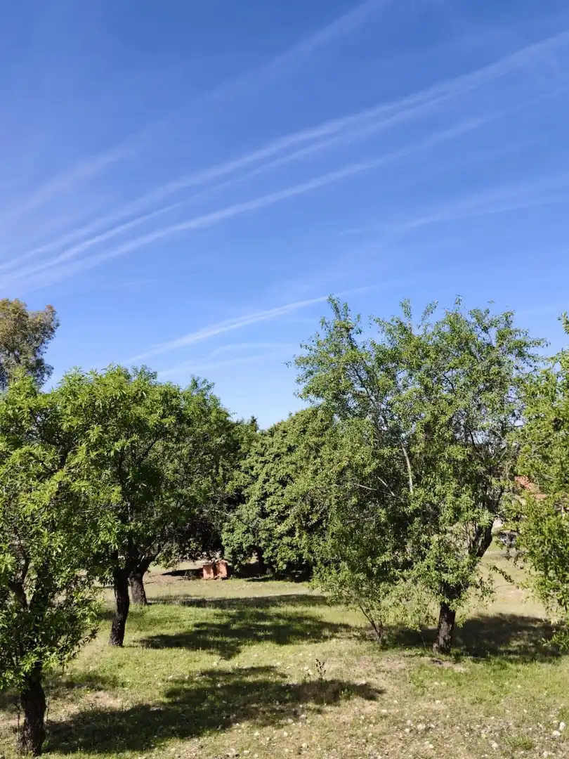Chalet en venta en CERRO PALOS poligono 45 parcela 63, imagen 44