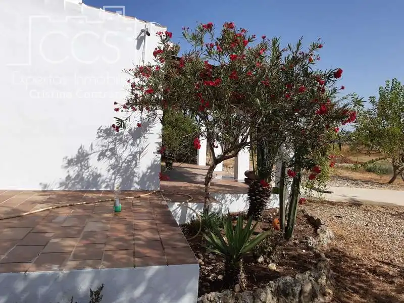 Casa rústica amb jardí en venda a Almonte ciudad, imagen 9