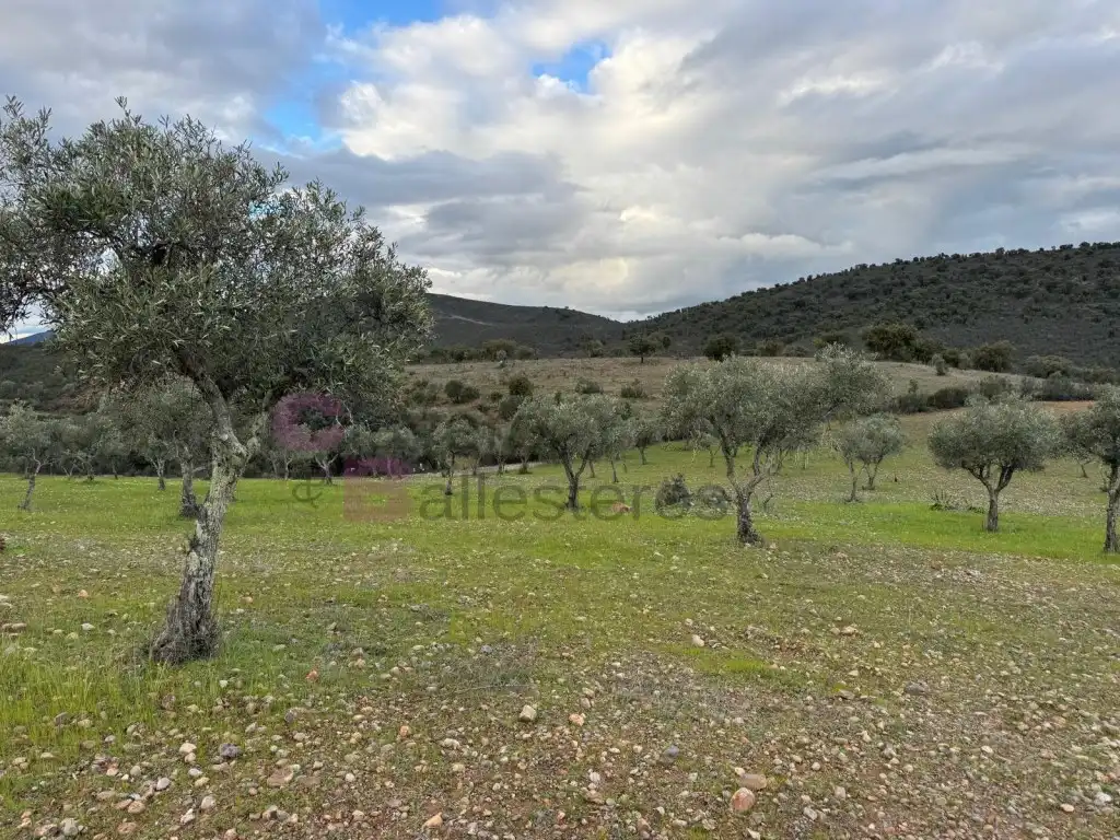 Casa o xalet en venda a Calle Cuesta de Artesanos, Valdesalor - Rincón de Ballesteros