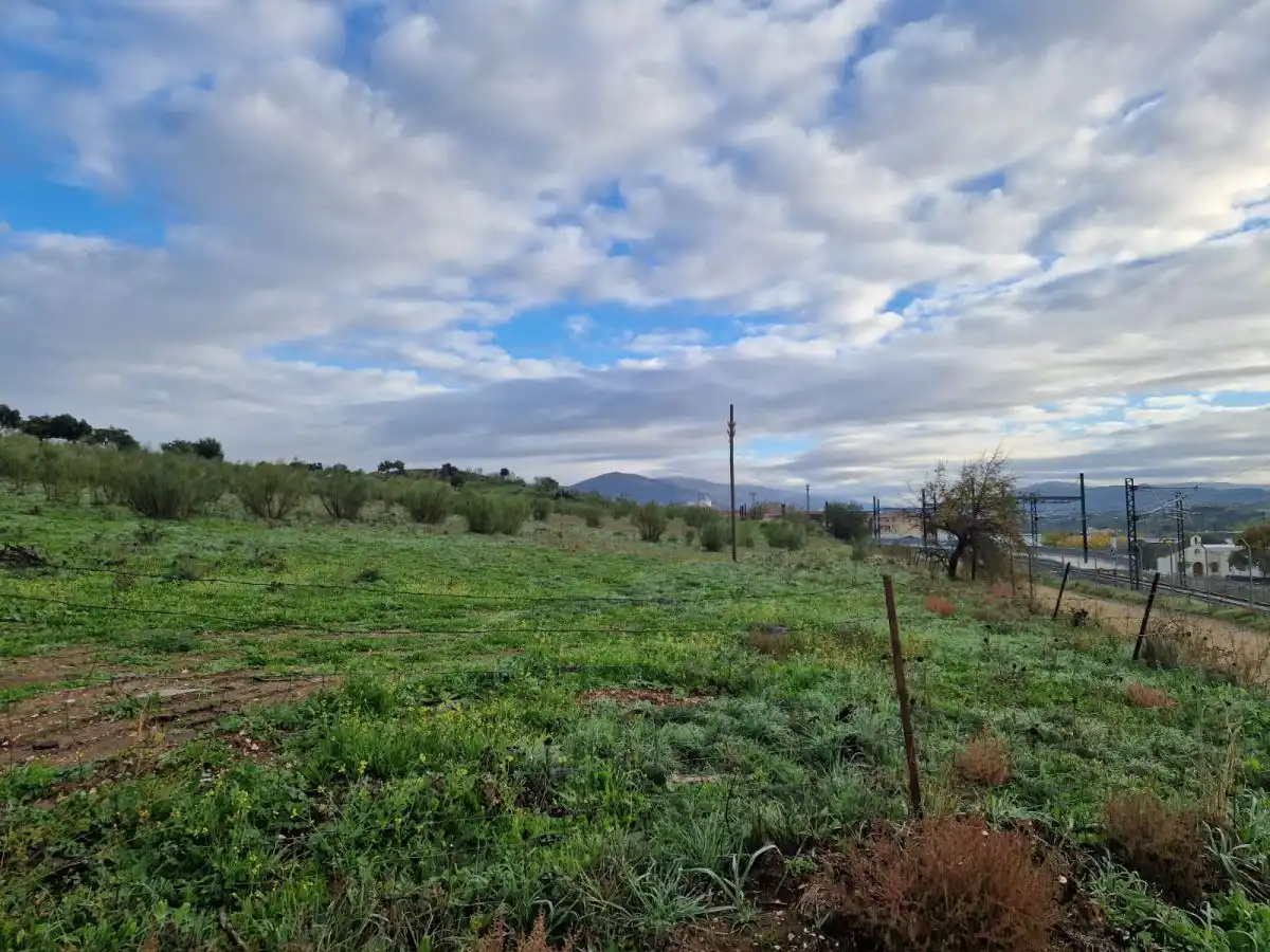 Terreni e lotti in vendita a Zona Sur - Av. de España - San Miguel, imagen 3