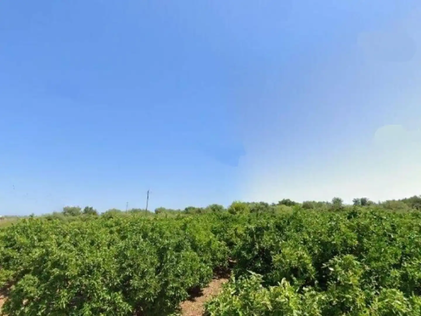 Terrenys i solars en venda a Almenara, imagen 2