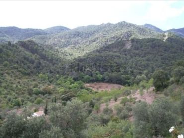 Terreno rustico in vendita a Calle Nueva 25