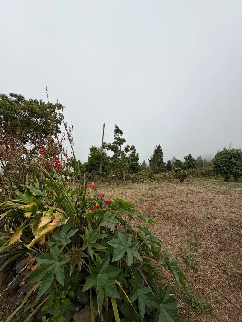 Terreno rustico in vendita a El Bebedero - Pinolere - Aguamansa, imagen 61