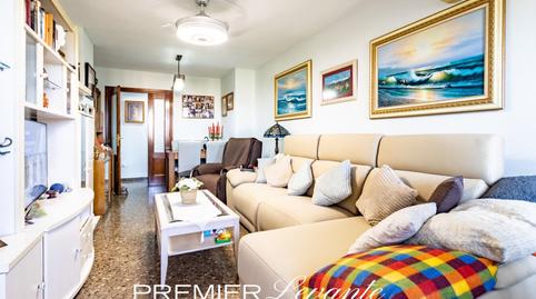 Foto 3 de Pis en venda a  Dr Jose Luis de la Vega, Garbinet - Parque de las Avenidas, Alicante