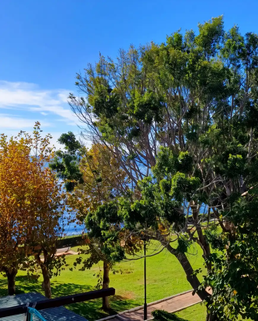 Garden of Study for sale in Estepona  with Air Conditioner, Furnished and Internet