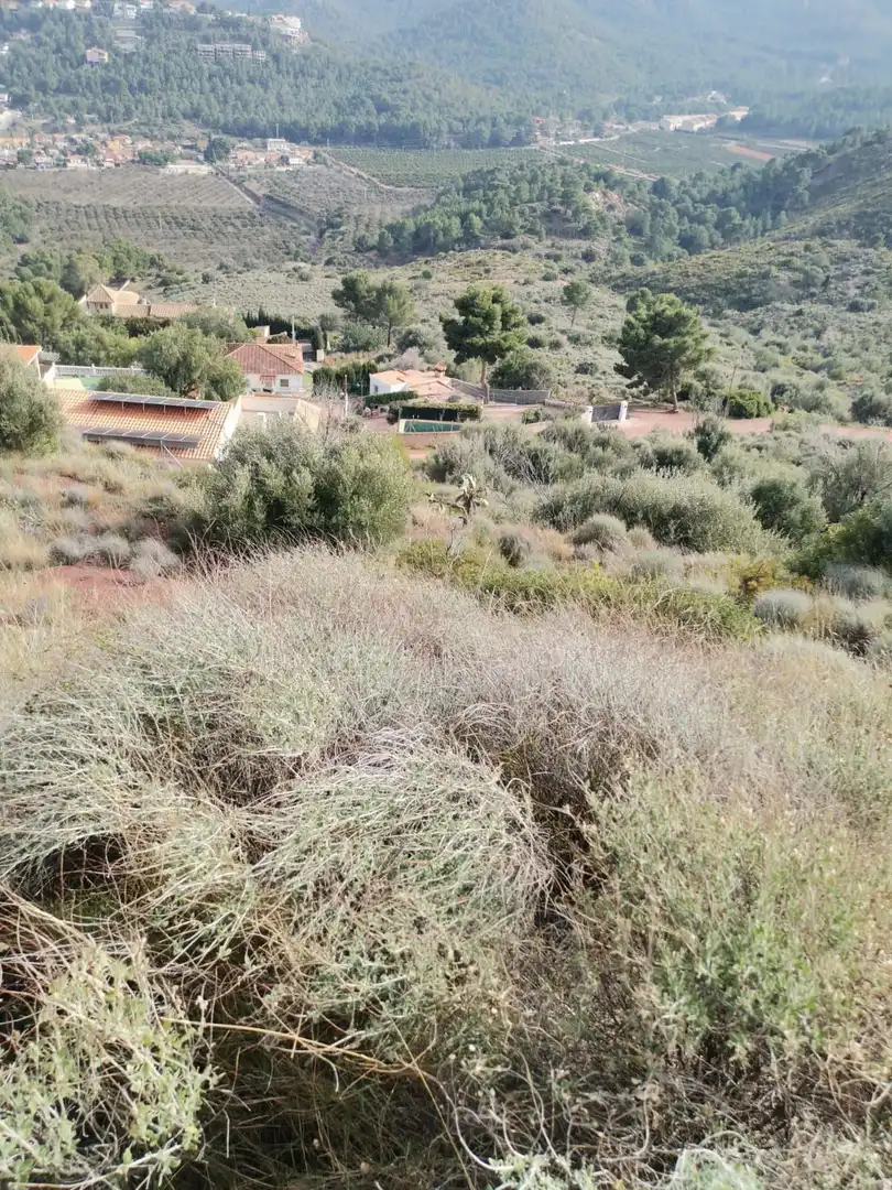 Rural land for sale in Partida Balcon de la Peña, imagen 4
