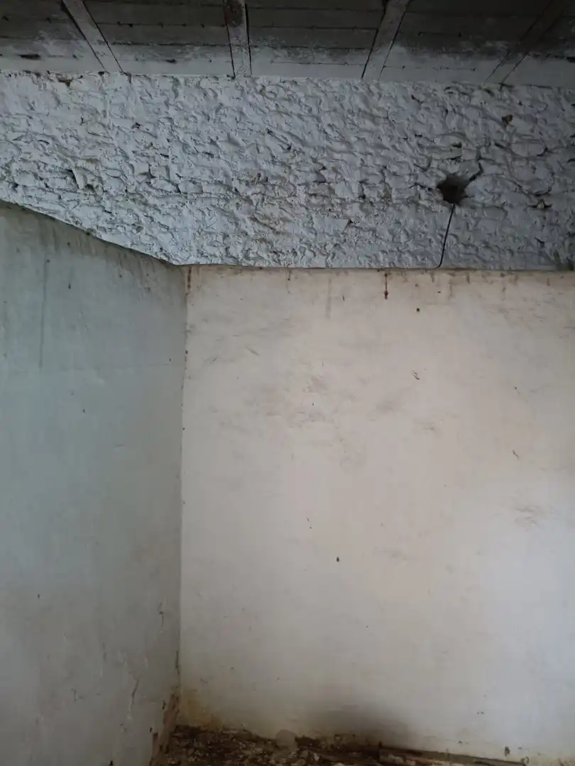 Finca rústica en venta en Torralba de Calatrava