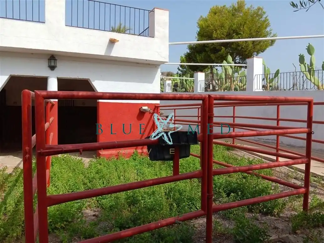 Haus mit Terrasse zum Verkauf in Calarreona, imagen 42
