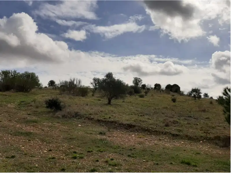 Terreni e lotti in vendita a GOLF DEL GUADIANA, imagen 7