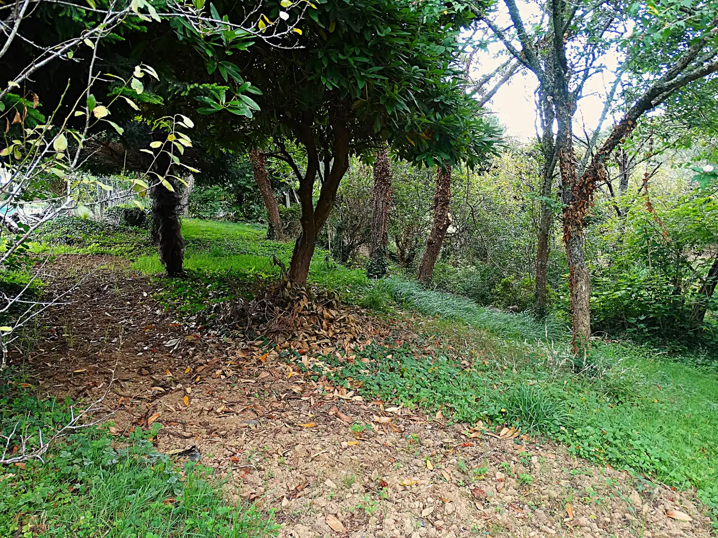 Finca rústica en venda en Narón amb Calefacció, Jardí privat i Parquet
