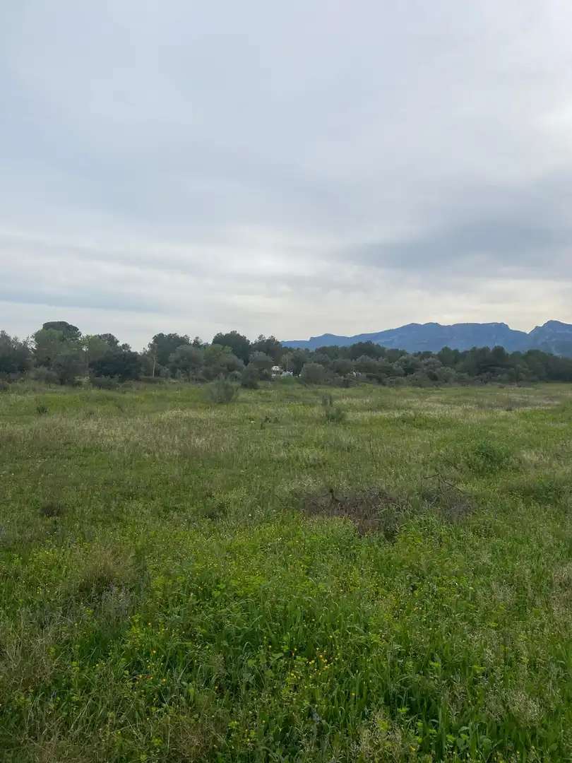 Lands and plots for sale in Ginestar, imagen 3