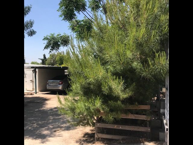 Vista exterior de Casa o xalet en venda en Castellón de la Plana / Castelló de la Plana amb Aire condicionat, Calefacció i Jardí privat