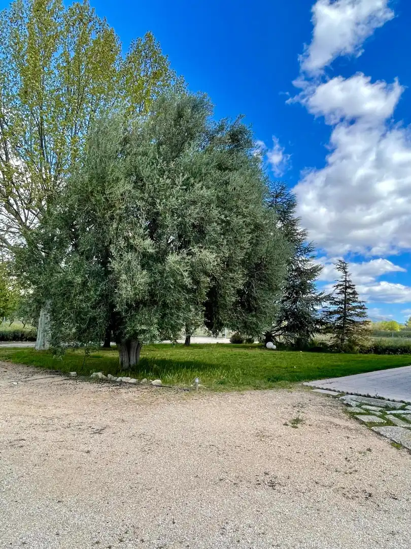 Houses for rent in Castalla  with Heating, Private garden and Terrace