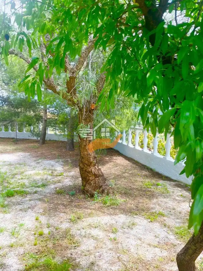 Casa rústica en venta en Vélez-Rubio, imagen 23