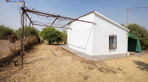 Foto 4 de Finca rústica en venda a Calle de Moraleda a Cómpeta, 22, Moraleda de Zafayona, Granada