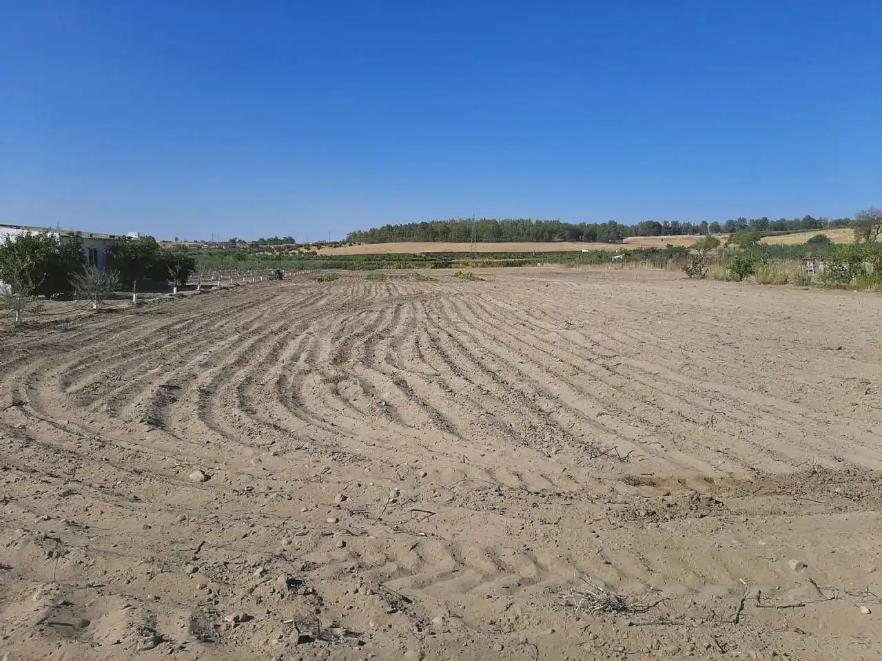 Casa o chalet en venta en Calamonte