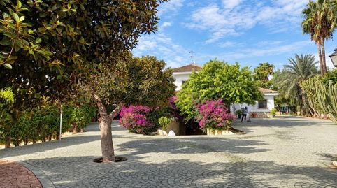 Photo 5 of Houses for sale in La Algoda - Matola - Llano de San José, Elche / Elx