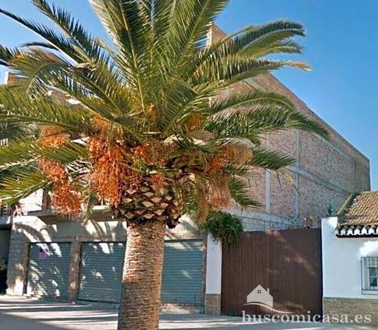 Terreno residencial en Venta en Real en Cijuela