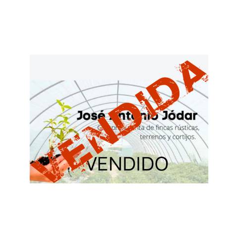 Terreno en Venta en Ejido Norte