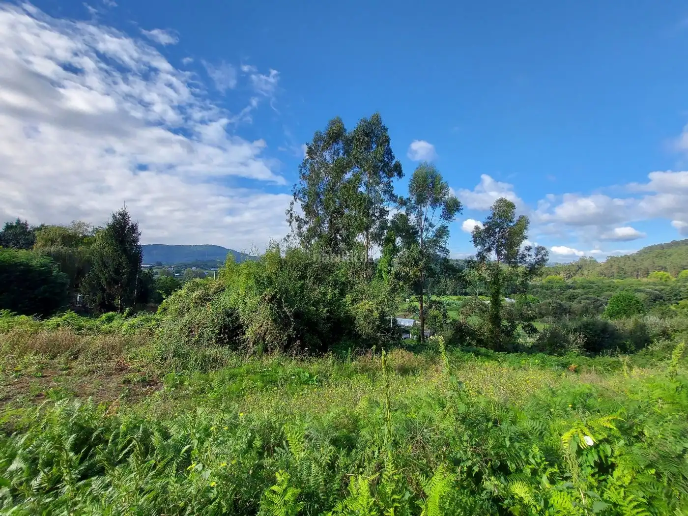 Terreny residencial en venda a BI-3102 33, imagen 2