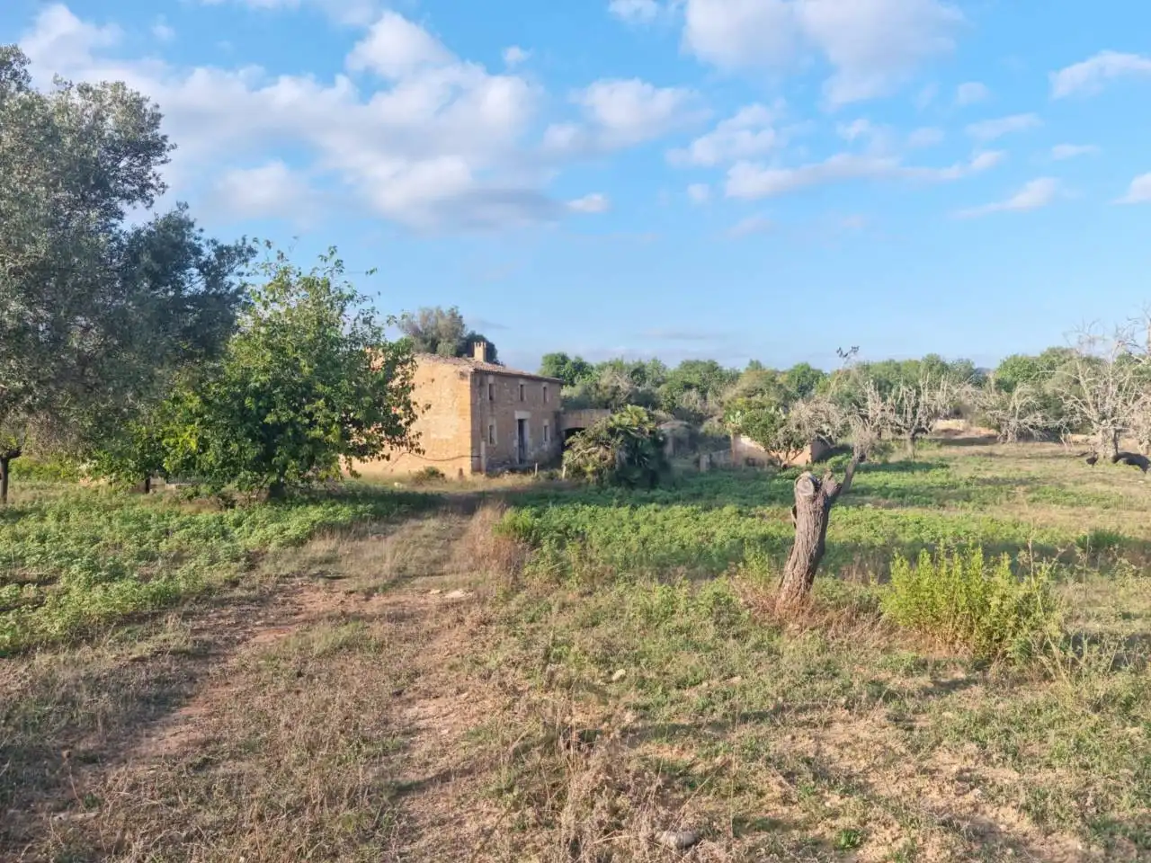 Casa amb jardí en venda a Sant Llorenç des Cardassar