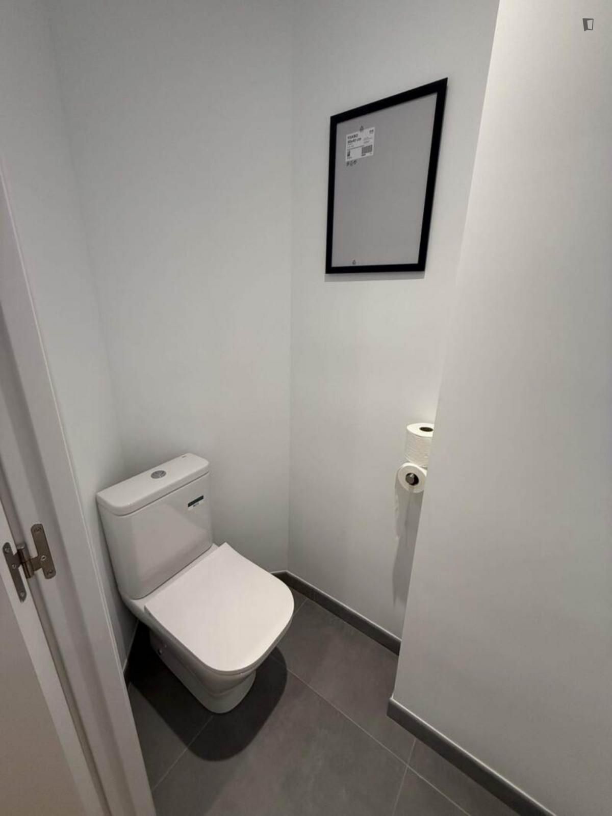 Apartament per a compartir a Carolinas Altas