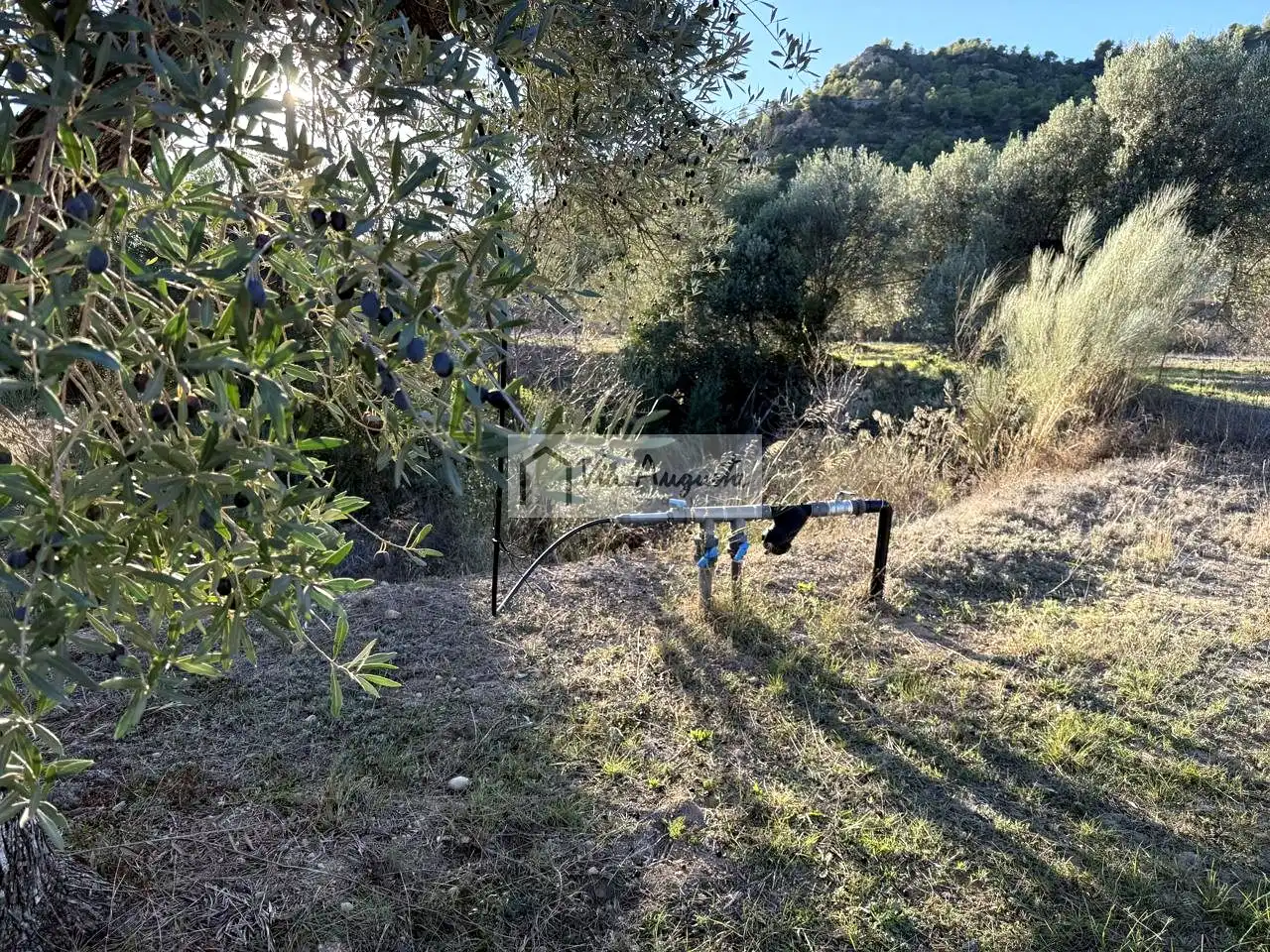 Terreno en venta en Vinebre