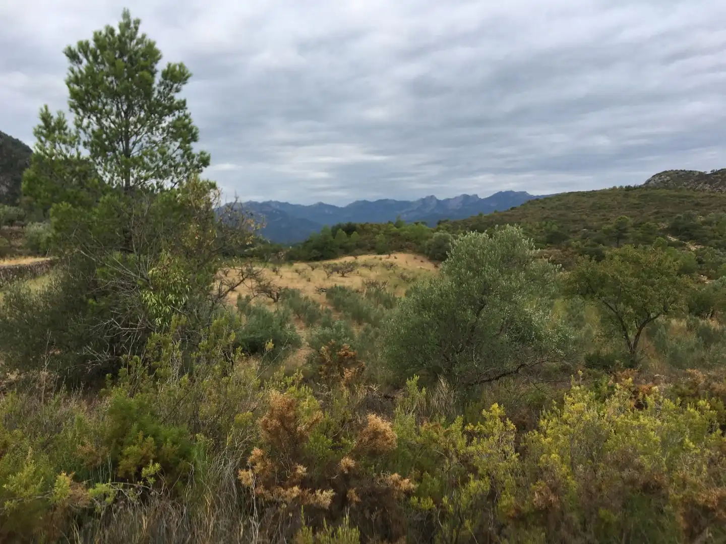 Finca rústica en venda en Benifallet