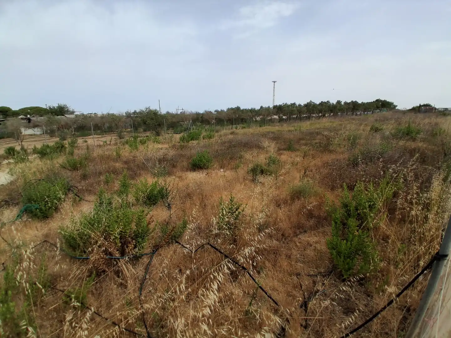 Residential land for sale in Pinar de la villa, imagen 3