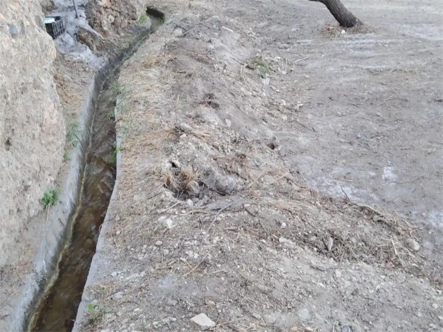 Vista exterior de Planta baixa en venda en Partaloa amb Jardí privat