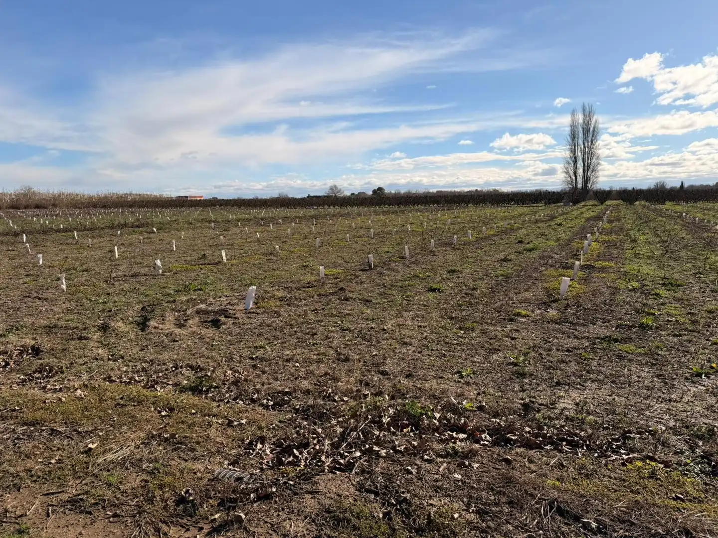 Terreno rustico in vendita a Corbins