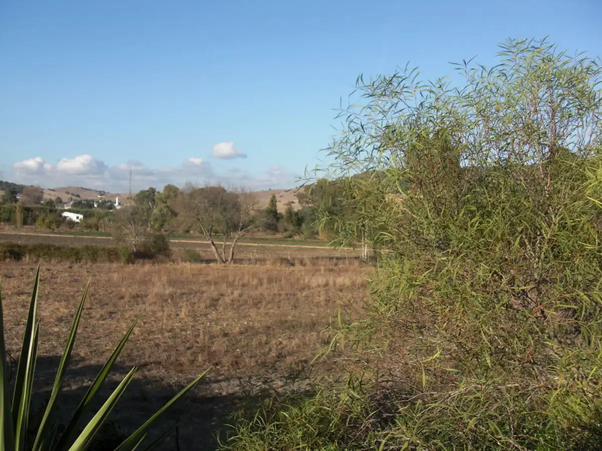 Maison rustique à vendre à Vejer, imagen 57