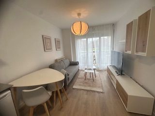 Sala d'estar de Apartament de lloguer en León Capital  amb Calefacció, Parquet i Moblat