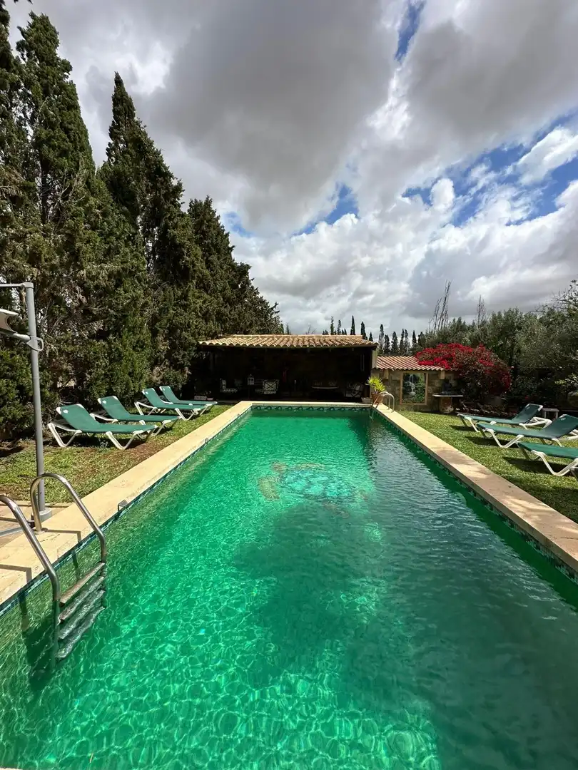 Villa con terrazza in vendita a Poligono, imagen 30