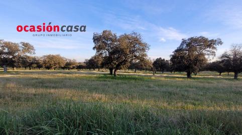 Foto 5 de Finca rústica en venda a Pozoblanco, Córdoba
