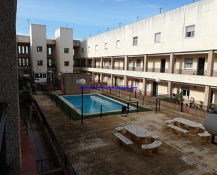 Swimming pool of Flat for sale in Cantillana