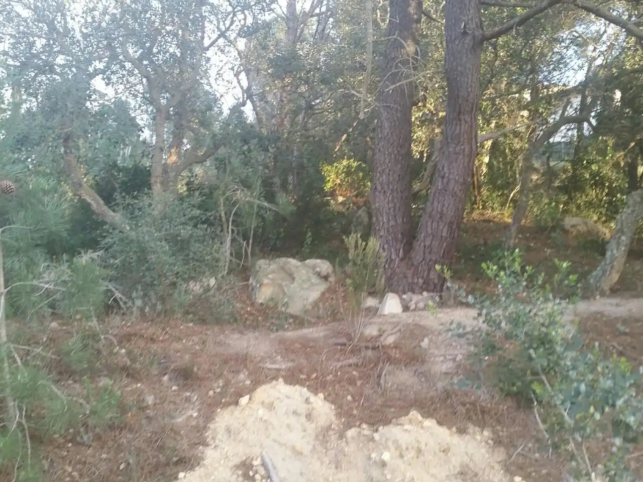 Terrenos y solares en venta en Serra Brava