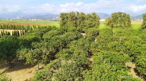 Finca rústica con cédula en Sa Pobla, imatge 5