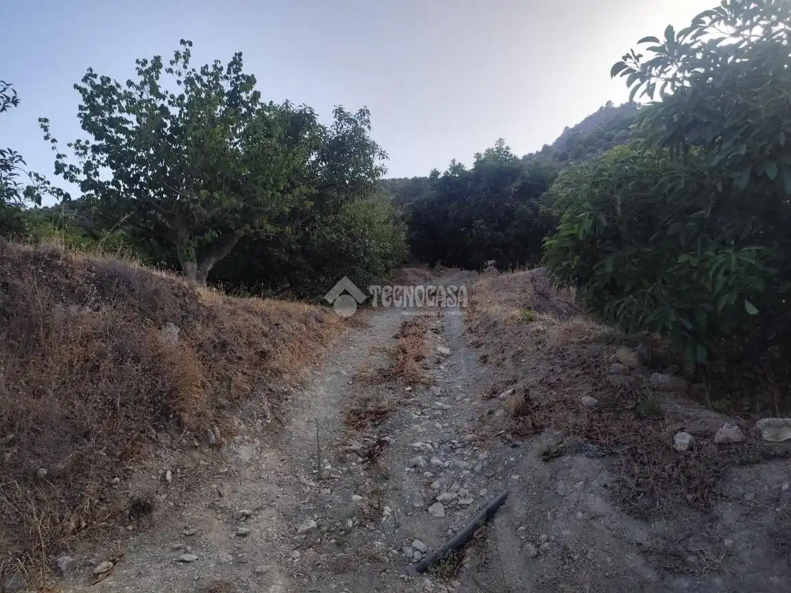 Terreno rustico in vendita a Los Guájares, imagen 22