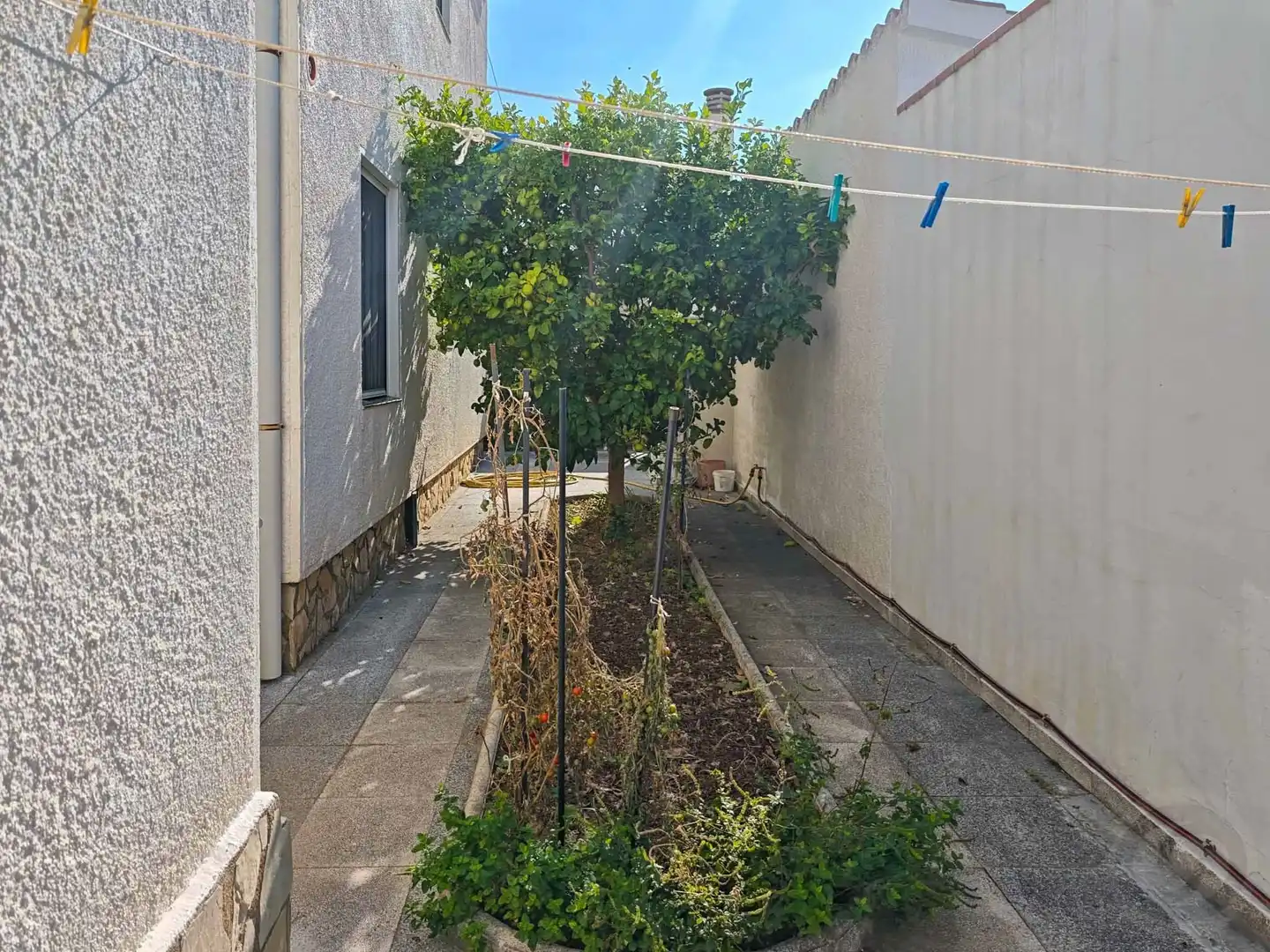 Garden of Houses for sale in Montgrí