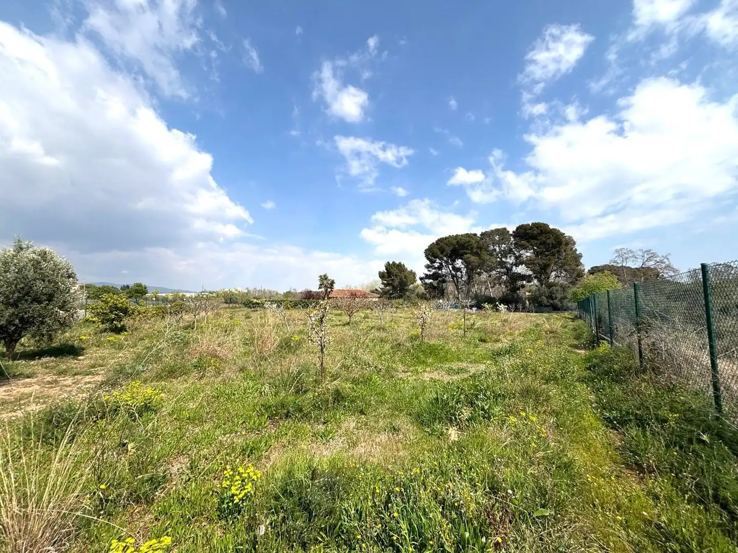 Rural land for sale in Santa Oliva, imagen 5