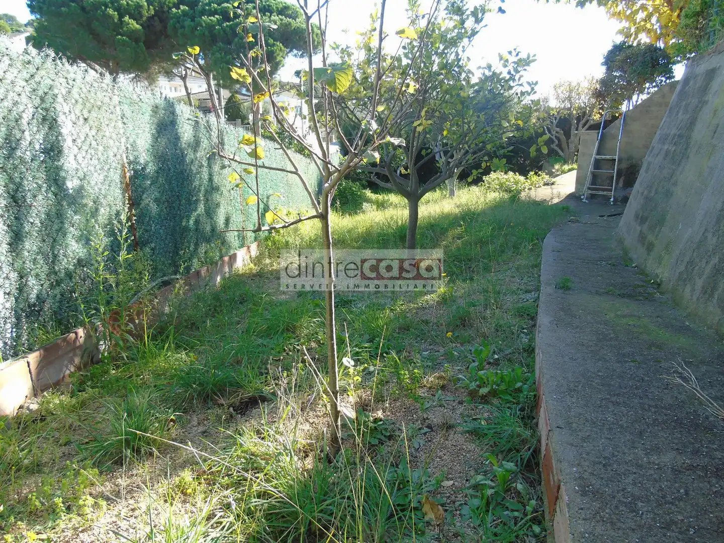 Casa o chalet en venta en Mas Mora - Sant Daniel