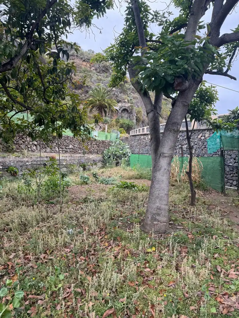 Terreny en venda en Icod de los Vinos