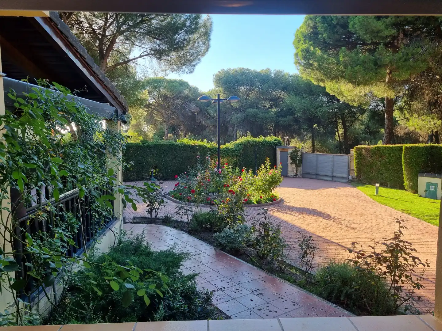 Garden of Houses for sale in Laguna de Duero  with Terrace, Storage room and Swimming Pool