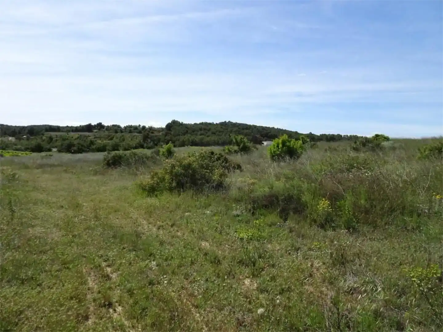 Land for sale in Batea