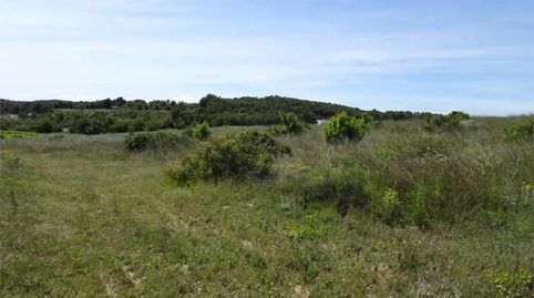 Photo 3 of Land for sale in Carretera de Maella, S/n, Batea, Tarragona