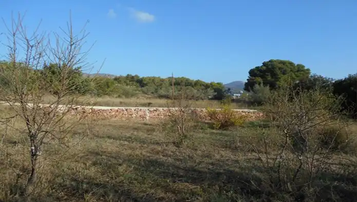 Terrain rustique à vendre à Ptda Siscar, imagen 6