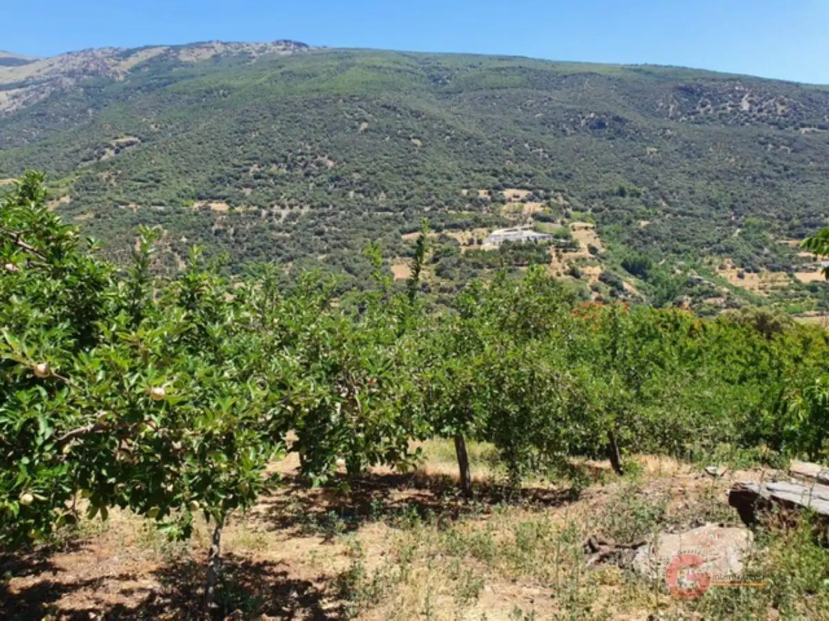 Country homes for sale in Busquístar