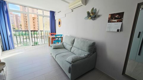 Foto 3 de Estudio en venta en Juzgados - Plaza de Toros, Benidorm