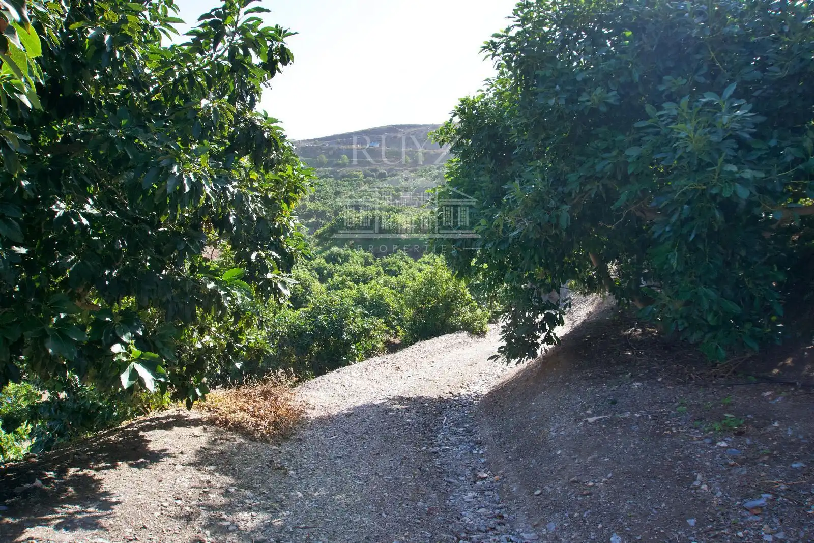 Terreni e lotti in vendita a Barranco del Inglés, imagen 49